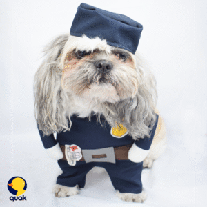 Disfraz Para Perro Policia