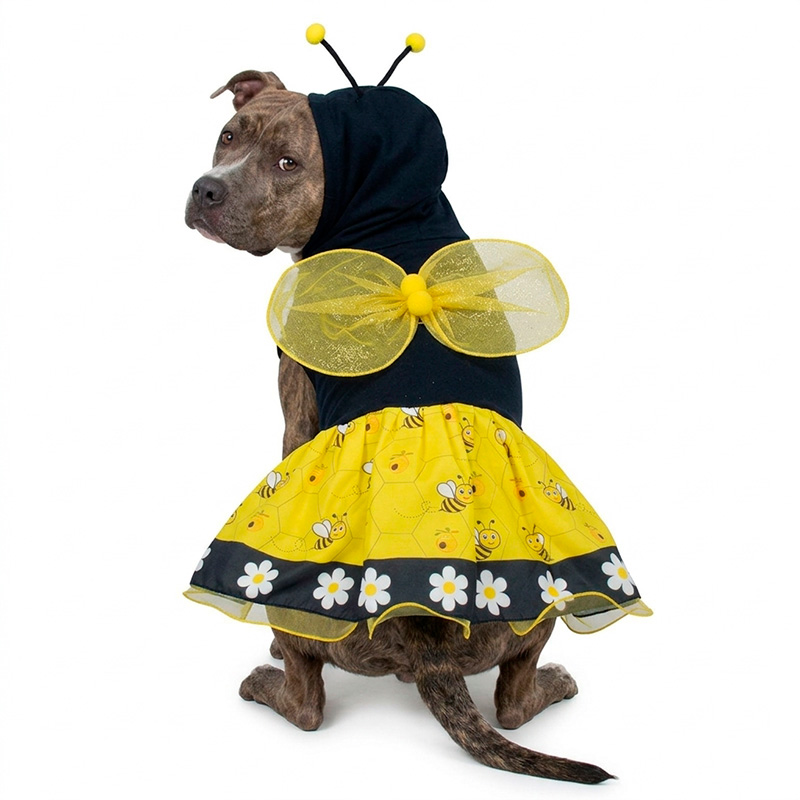 Disfraces Para Mascota en Tendencia 2026 Todas las Tallas 6 Disfraces Para Mascota en Tendencia 2026 Todas las Tallas - Image 6